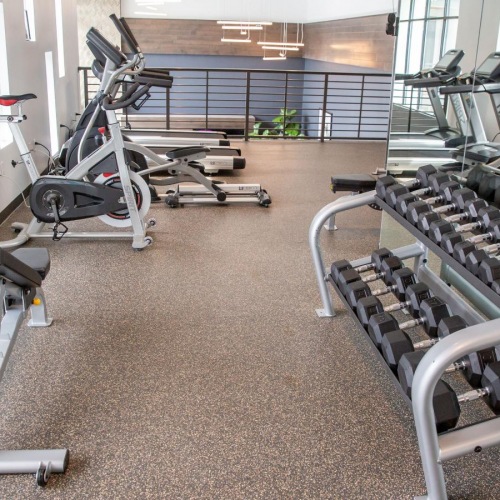 Get your workout on a gym with exercise equipment