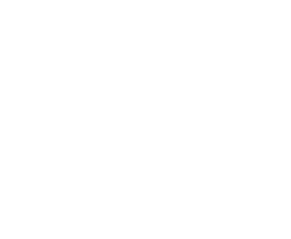 Village 21